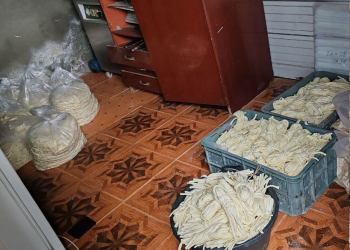 Ağcabədidə qanunsuz fəaliyyət göstərən pendir sexi aşkarlanıb