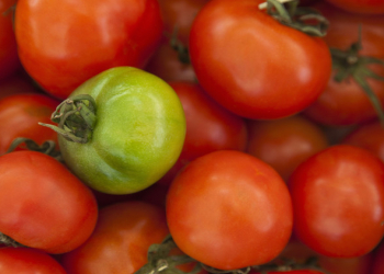 Yaşıllıq və tərəvəzlər ürək sağlamlığını gücləndirir