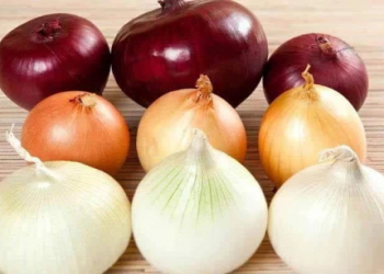Soğan növlərinin fərqi açıqlanıb – düzgün seçim yeməyin dadını dəyişir
