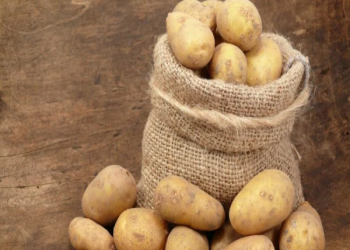Kartofdan tam imtinanın sağlamlığa mənfi təsiri üzə çıxdı