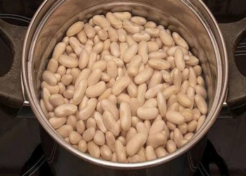 Lobyanı daha tez yumşaltmağın üsulları