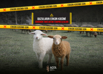 AQTA "Erkən kəsimə son" adlı maarifləndirici kampaniyaya başlayıb