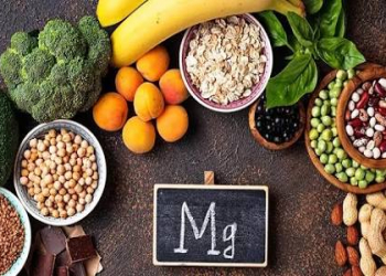 Maqneziumun orqanizmdə rolu
