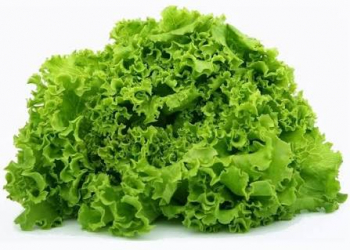 Dünyanın ən faydalı tərəvəzi