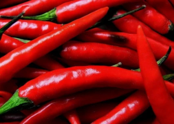 Acılı yeməklər infarkt yarada bilərmi? – Kardioloqdan vacib açıqlama