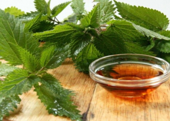 Qastroenteroloq xəbərdarlıq edir: gicitkən hər kəs üçün faydalı deyil