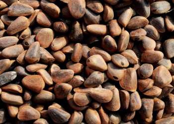 Hansı qidalar sinklə zəngindir: alim açıqladı