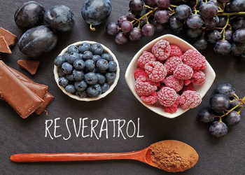 Resveratrol nədir və sağlamlığa necə təsir edir?