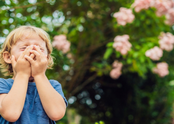 Yaz allergiyasına hazır olun: mütəxəssisdən faydalı tövsiyələr