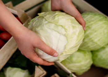 Kələm aylarla xarab olmur: Tərəvəzi saxlamaq üçün ən ideal yer açıqlandı