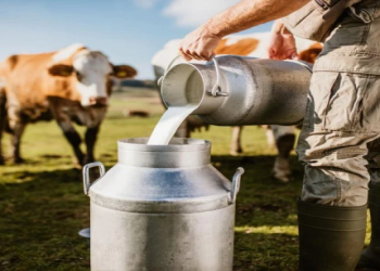Pasterizə olunmuş süd sağlam seçim kimi tövsiyə olunur