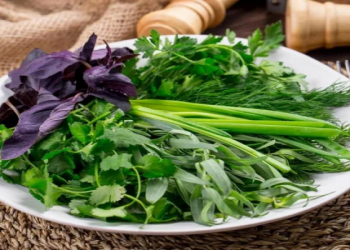 Yaşıllıqların düzgün istifadəsi sağlamlıq üçün vacib sayılır