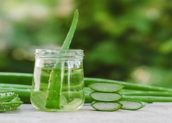 Aloe Veranın faydaları və yan təsirləri nələrdir?