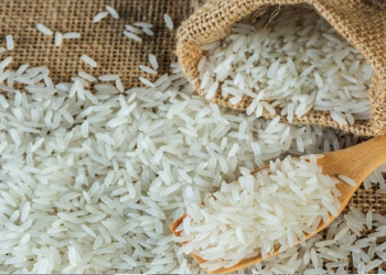 Soyuducuda saxlanan düyü niyə daha faydalı hesab olunur?