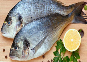 Balıqla birlikdə hansı qidaların daha faydalı olduğu müəyyənləşdirilib