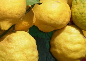 Duzlu limonların möhtəşəm dadı – Məşhur qəlyanaltının sadə resepti