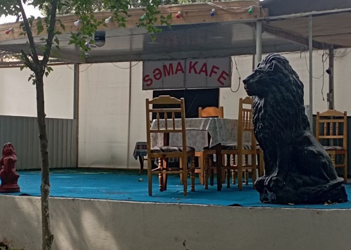 Kafedə nöqsanlar aşkarlandı