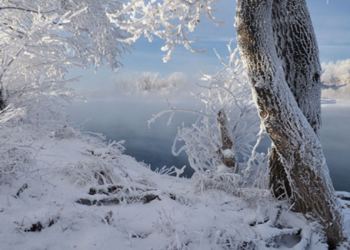 20 dərəcə şaxta olacaq