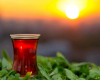 Çay və sağlamlıq: Hər gün nə qədər içmək faydalıdır?