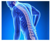 Osteoporozun qarşısında süd məhsullarının və kalsiumun əhəmiyyəti