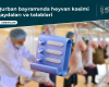 Qurban bayramında heyvan kəsimi qaydaları və tələbləri