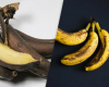 Qabığı qaralmış bananlar daha faydalıdır?
