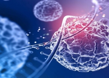 Xərçənglə mübarizəni gücləndirən lipid nanohissəciklər kəşf olunub
