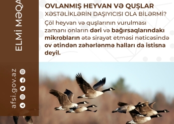 Ovlanmış heyvan və quşlar xəstəliklərin daşıyıcısı ola bilərmi?