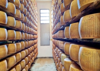 Parmigiano-Reggiano pendirinin əsas sirri nədir? - REPORTAJ