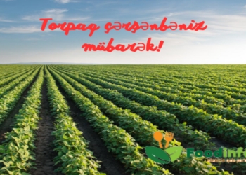 Bu gün ilaxır çərşənbədir