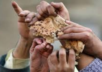 Qida böhranını əvvəldən xəbər verəcək sistem hazırlandı
