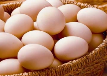 Azərbaycanda yumurta istehlakı 2,5 % azalıb