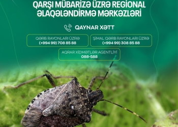 AQTA qəhvəyi mərmər bağacığı ilə bağlı əhaliyə növbəti dəfə müraciət edib