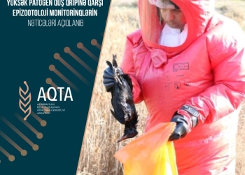 Yüksək patogen quş qripinə qarşı epizootoloji monitorinqlərin nəticələri açıqlanıb