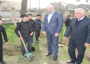Cəlilabadda ağacəkmə aksiyası keçirilib