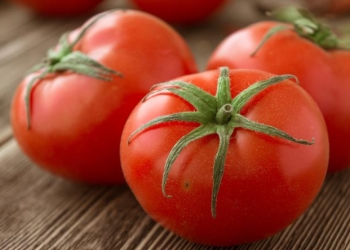 Turşu pomidorları necə bişirmək olar: sürətli bir resept