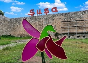Azad edilmiş rayonlarda pərakəndə ticarət dövriyyəsi məlum olub
