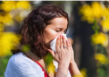 Allergiyaları azaldan qidalar: bunları nəzərə alın