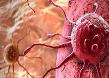 Sağlıqlı olduğunu düşünsək də xərçəngə səbəb olurmuş