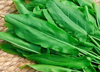 Turşəngi qışa belə saxlamaq olar