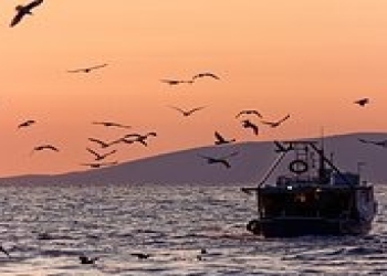 Dənizdə sırğasını itirən balıqçı 23 ildən sonra başqa gəmidə tapıb