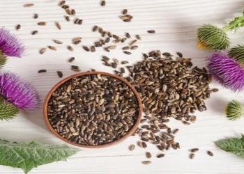 Dəvətikanının faydaları nələrdir?