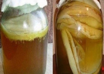 Çay göbələyinin faydaları