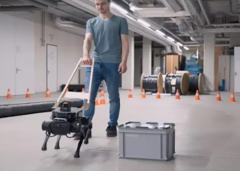 Tələbələr bələdçi robot it icad etdilər