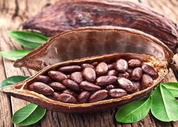 Kakaonun müalicəvi xüsusiyyətləri
