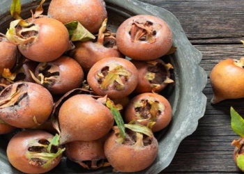 Əzgildə ən çox hansı vitaminlər olur?