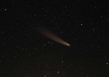 İlk dəfə asteroidlərdə su kəşf edildi