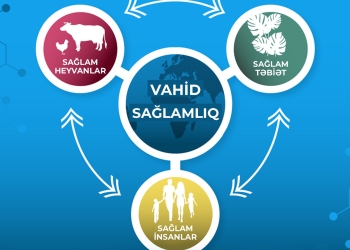 AQTA “Vahid Sağlamlıq” konsepsiyası ilə bağlı zəruri tədbirləri davam etdirir