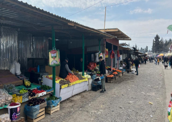 Tovuzda fəaliyyət göstərən bazarda ciddi nöqsanlar aşkarlanıb