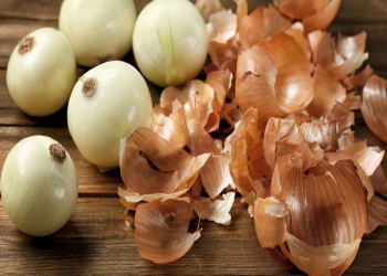 Antibiotik mənbəyi olan soğan qabığının faydaları nələrdir?
